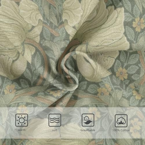 Boys' Exclusive Briefs Toddler Underwear 95% Combed Cotton Boxerbriefs 2T Floral Pattern 593