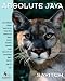 Absolute Java (4th Edition)
