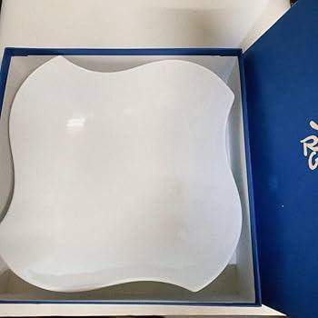 Amazon.co.jp: リチャードジノリ Richard Ginori デダロホワイト