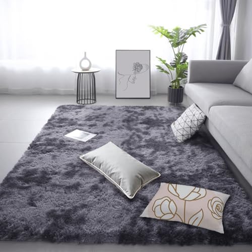 Tapis de chambre extra large moelleux pour salon chaleureux