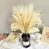 【Aplicación amplia】 Nuestra hierba de caña es perfecta para la sala de estar, el dormitorio, los restaurantes, el estudio o la oficina y más decoración de interiores, también es ideal para la decoración de bodas, fiestas y será un regalo perfecto para sus amigos y familiares.