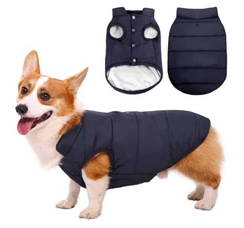 yiElCz[ZsunNa]  H~ ^ h ^ H~ ̕ g ^Ngbv ybgEFA  킢 ^ ^ Ȃ  ӂӂ ۉ L hbOEFA xXg m  Eѕی ƒ U