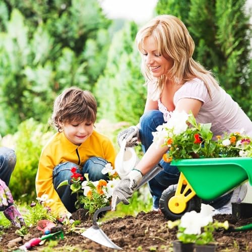 Binette de jardin triangulaire pour désherber et couper le sol - 4