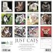 Willow Creek Press, Just Cats 2026 Wall Calendar, 12'' X 12'', 18-Month Calendar with Stapled Binding