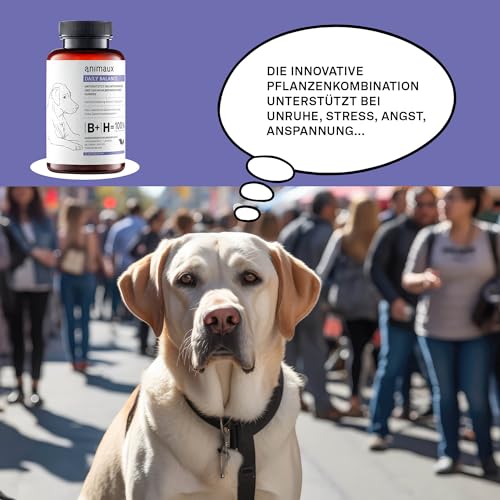 Beruhigungstabletten für Hunde – Bei Stress, Angst & Reisen – Mit Baldrian, Johanniskraut & Lavendel – Pflanzlich – 40 Stück – animaux Daily Balance