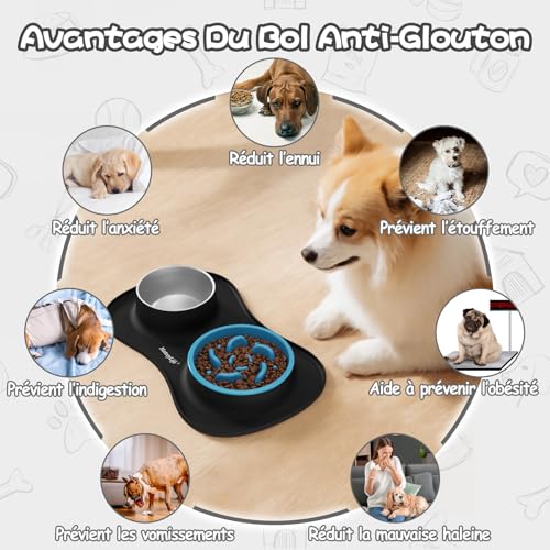MateeyLife Hundenapf-Set 3-in-1, Anti Schling Napf Hund & Edelstahl-Wassernapf mit Anti-Rutsch-Silikonmatte, Katzen- und Welpennäpfe Futterschalen für kleine, mittelgroße und große Rassen