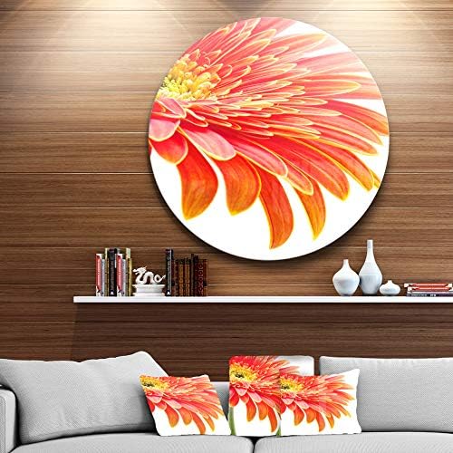 Designart باللون البرتقالي Gerbera على خلفية بيضاء الحديثة على شكل زهرة أعمال فنية جدارية معدنية 23 X 23 سم باللون البرتقالي الأبيض Amazon Ae المنزل
