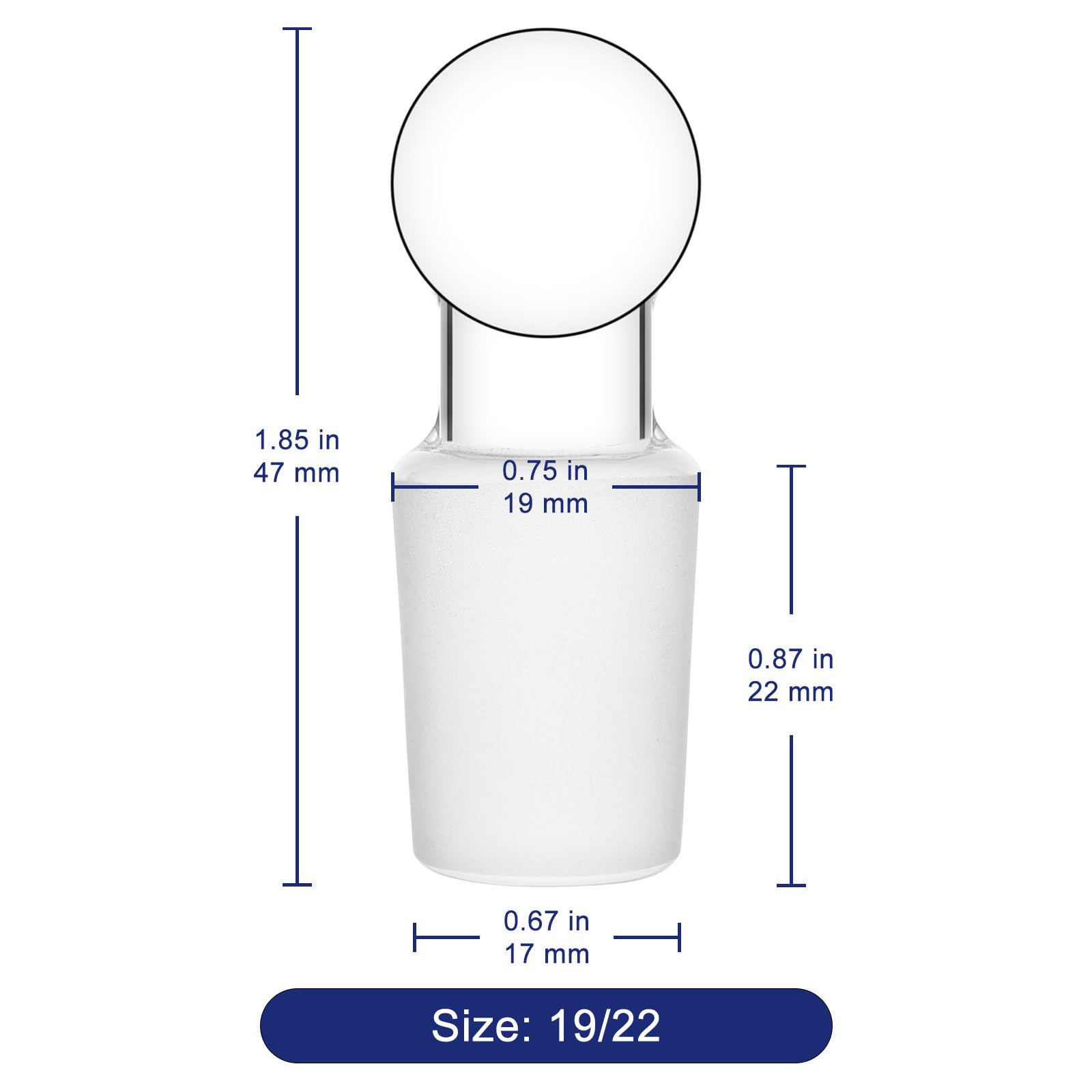 Labasics Bouchons Pleins en Verre, Bouchons en Verre Borosilicate, Fermeture Hermétique pour Fiole, Entonnoirs de Séparation et Verrerie de Laboratoire, Lot de 5, Rodage Extérieur 19/22