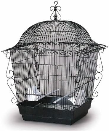 Domestic Pet Black Elegant Scrollwork Bird Cage Partner