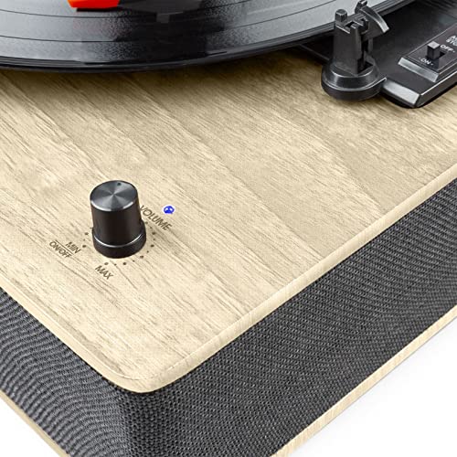 Fenton RP161LW Platine Vinyle Bluetooth Stéréo – Bois Clair, Deux Haut-Parleurs, Streaming Audio Bluetooth, 3 Vitesses 33-45-78 TR/Min, Style Rétro, Idéal pour Écouter Vos Vinyles et Musiques - Les Beatles, Paul McCartney, John Lennon, RIngo Starr, George Harrison Fenton RP161LW Platine Vinyle Bluetooth Stéréo - Bois Clair, Deux Haut-Parleurs, Streaming Audio Bluetooth, 3 Vitesses 33-45-78 TR/Min, Style Rétro, Idéal pour Écouter Vos Vinyles et Musiques – Image 6