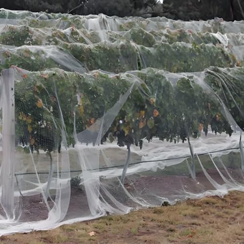 succulentlovers 2PCS Mosquito Netting for Patio - 10 x 16.5 Ft Garden Insect Netting Grey Mosquito Net Porch Screen Mesh Patio Netting for Apartment Balcony Protecting Vegetables Fruit Trees Plants