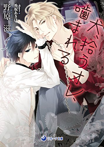 初版　そらのだいじな旦那さま 野原滋　サマミヤアカザ　コミコミ小冊子付 初版 そらのだいじな旦那さま 野原滋 サマミヤアカザ コミコミ