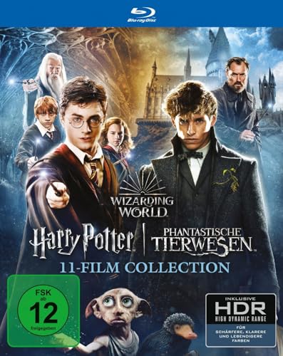 Wizarding World 11-Film Collection