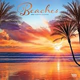 Beaches | 2025 12 x 24 Inch Monthly Square Wall Calendar | Foil Stamped Cover | BrownTrout | Travel Nature Tropical