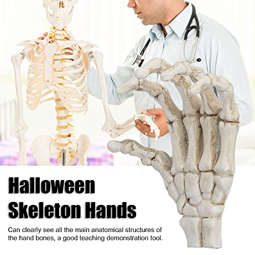 Image of Yosoo Halloween Skeleton Hands,High Hardness Light Weight Hand Bone Ornaments,Providing Medical Students with Hand and Wrist Structure and Descriptive Details