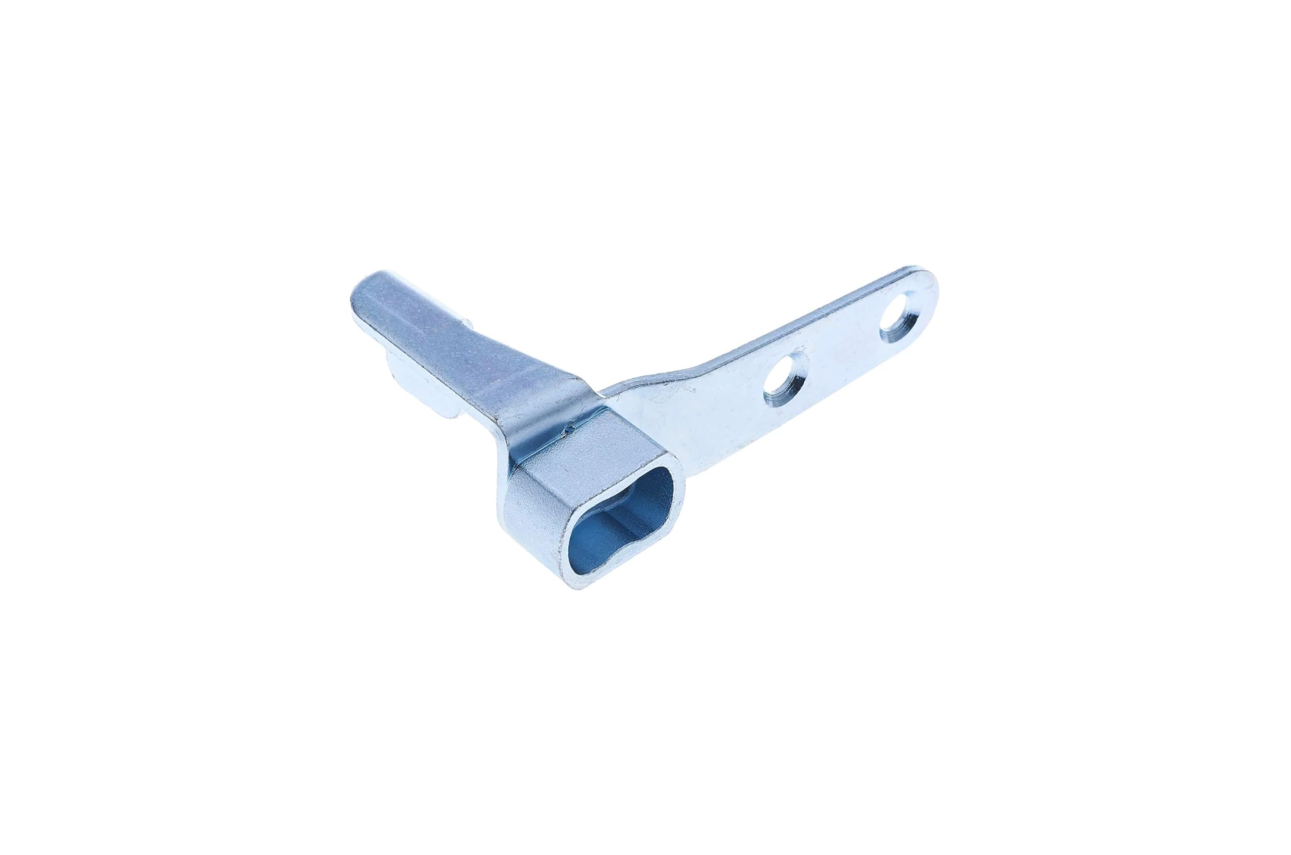 Amazon.com: PT Auto Warehouse TH-TO6952-LH - Tailgate Hinge, Lower