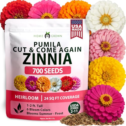 Image of HOME GROWN Dwarf Zinnia Seeds Mix - 700 Pumila Zinnias Seeds for 2026 | Zinna Flower Seed for Planting Outdoors | Colorful Cut Annual Flowers for Summer Gardens & Containers (Zinnia elegans)