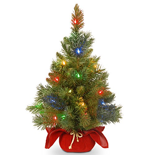 National Tree Company Pre-lit Artificial Mini Christmas Tree | Includes Multi-Color LED Lights