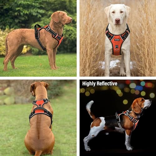 Image of No Pull Dog Chest Belt Harness, Comfortable & Adjustable Size for 24-35 Kg Pet (Orange, Large)