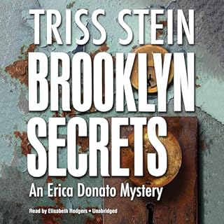 Brooklyn Secrets Audiolibro Por Triss Stein arte de portada