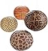 Jungle Safari Animal Print Hanging Lanterns (set of 12) Assorted animal print designs.