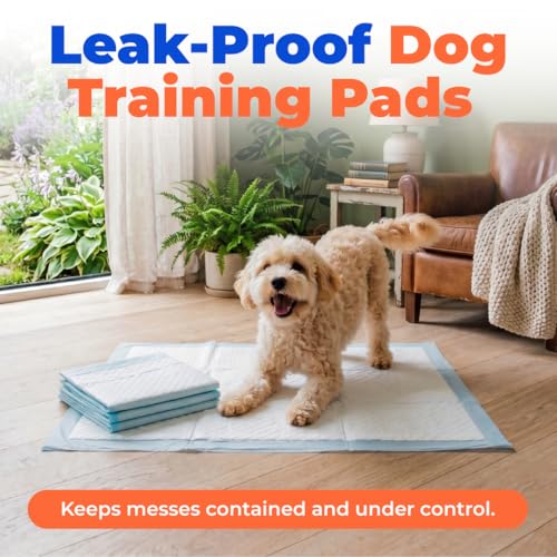 Best Pet Supplies XL (36 x 28 Inches) Puppy Pads 100 Count - Super Absorbent Dog Training Pads, Quick-Dry, Odor Control, Disposable Pee Pads, Leak-Proof Wee Wee Pads for Indoor Dogs – Baby Blue