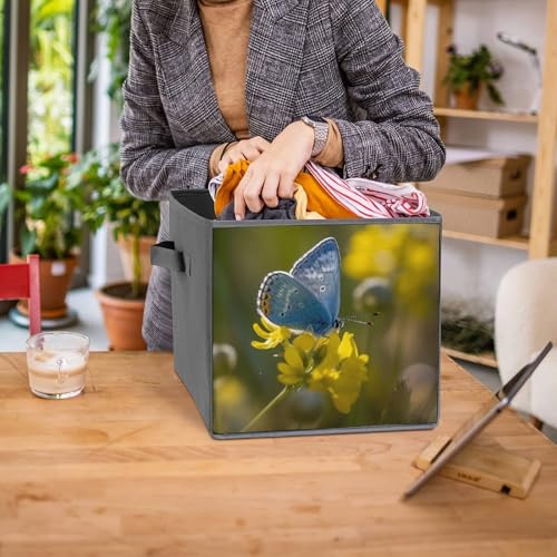 Boîtes de rangement pliables papillon pour optimiser un placard encombré - 8