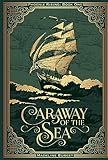 Caraway of the Sea: A grim-cozy pirate fantasy featuring an asexual female main character (Phoenix Rising, Band 1)