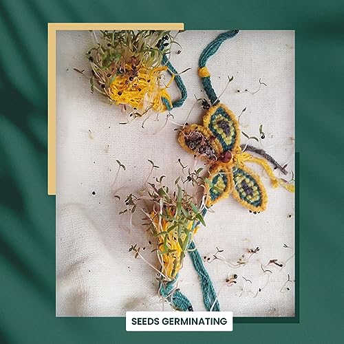 Image of Bombay Greens Plantable Seed Rakhi for Brother Eco- Friendly DIY Grow Kit| Grow Plants from Seeds Rakhi | Rakhi Gift Set for Brother - Sunflower