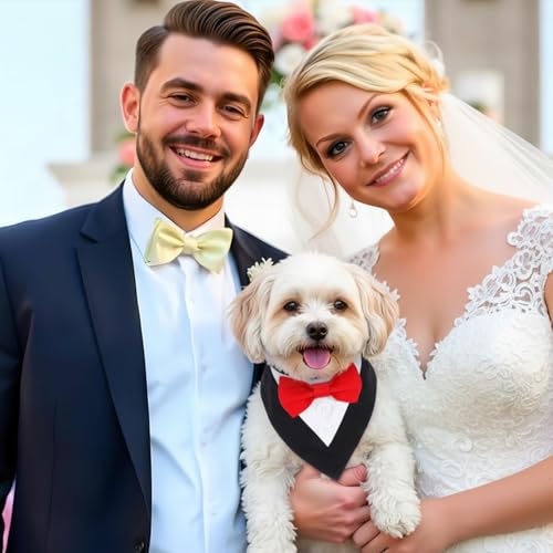 Molain Disfraz Formal para Perros Pequeños con Pajarita miniatura 2