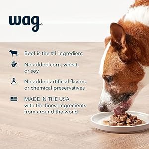 Amazon Model  Wag Pate Canned Canine Meals Beef  Hen Recipe 125 Oz Can pack of 12  Cucciolini Doodles Amazon model  wag pate canned canine meals beef  hen recipe 12 5 oz can pack of 12   cucciolini doodles