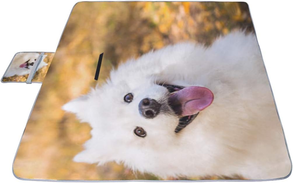 レジャーシート 可愛い動物 ピクニック 折りたたみ 撥水 アウトドア クッション マット コンパクト 花見 運動会 キャンプ 遠足