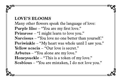 Plant Lore and Legend: The Wisdom and Wonder of Plants and Flowers Revealed - Image 3