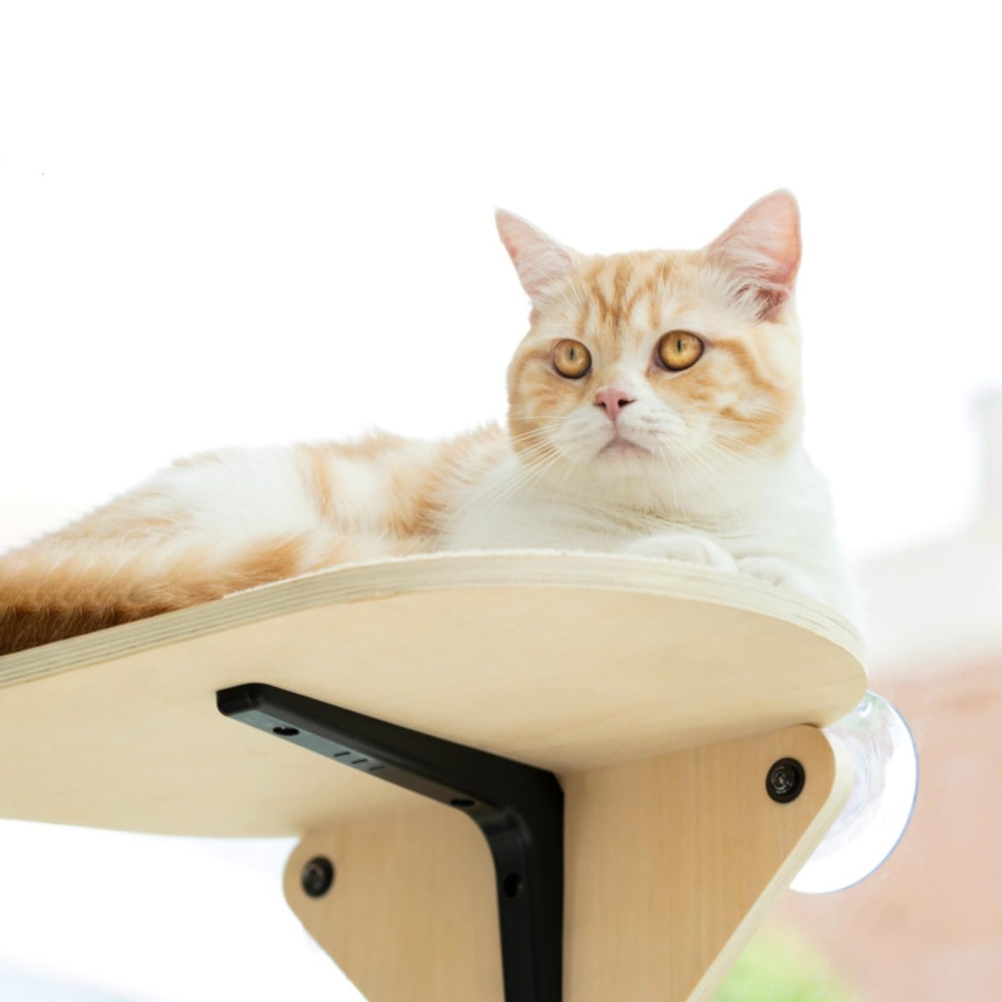 Amazon.co.jp: キャットステップ 窓用 吸盤 猫 ベット ハンモック 爪 