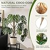 4 Pack Moss Pole Monstera Plant Support, 2 Pack 28" & 2 Pack 48" Bendable Plant Stakes Made of Real Coco Coir Support for Climbing Indoor Plants, Tall Moss Stick Trellis for Potted Climbers #4