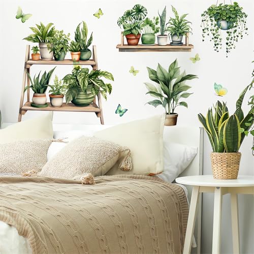 Vinilo Decorativo de Planta Verde Potted Green sacinora miniatura 5
