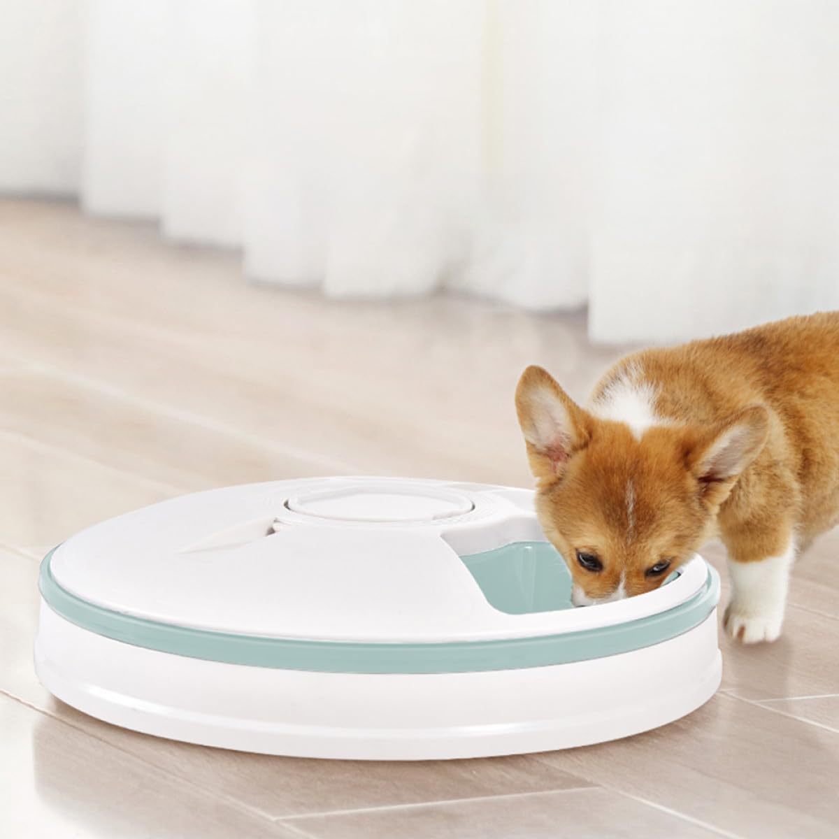 SUPVOX Comedero Automático Diseño Compacto Ahorra Espacio Temporizador Material Abs para Perros Adecuado para Colocar Esquina del Hogar