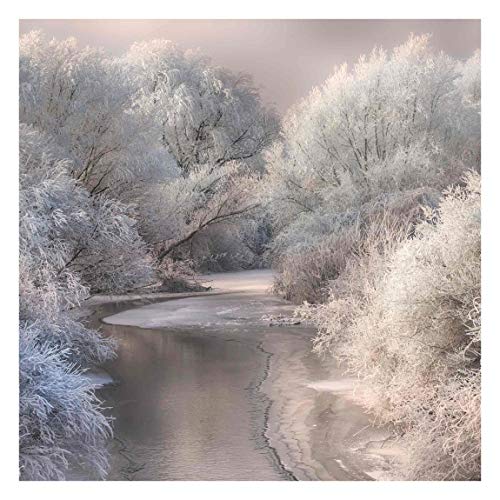 Bilderwelten Fotomural - Winter Song - Mural cuadrado papel pintado fotomurales murales pared papel para pared foto 3D mural pared barato decorativo, Tamaño: 288cm x 288cm