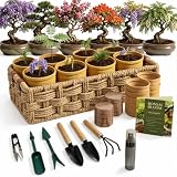 inbloom 8 Pack Bonsai Tree Kit