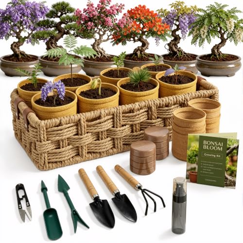 8 Pack Bonsai Tree Kit with Complete Tools, 8X Unique Seeds Bonzai Tree Live Kits, Complete Indoor Bonsai Starter Kit with Woven Basket, Perfect Garden Gift for Mom, Men, Women, Plant Lover