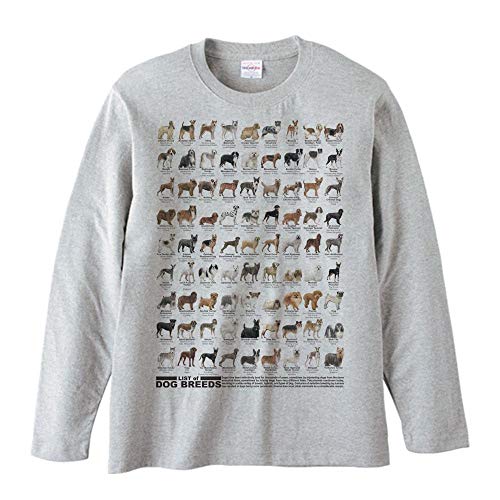 エムワイディエス(MYDS) 犬種リスト/長袖Tシャツ/杢グレー/メンズS
