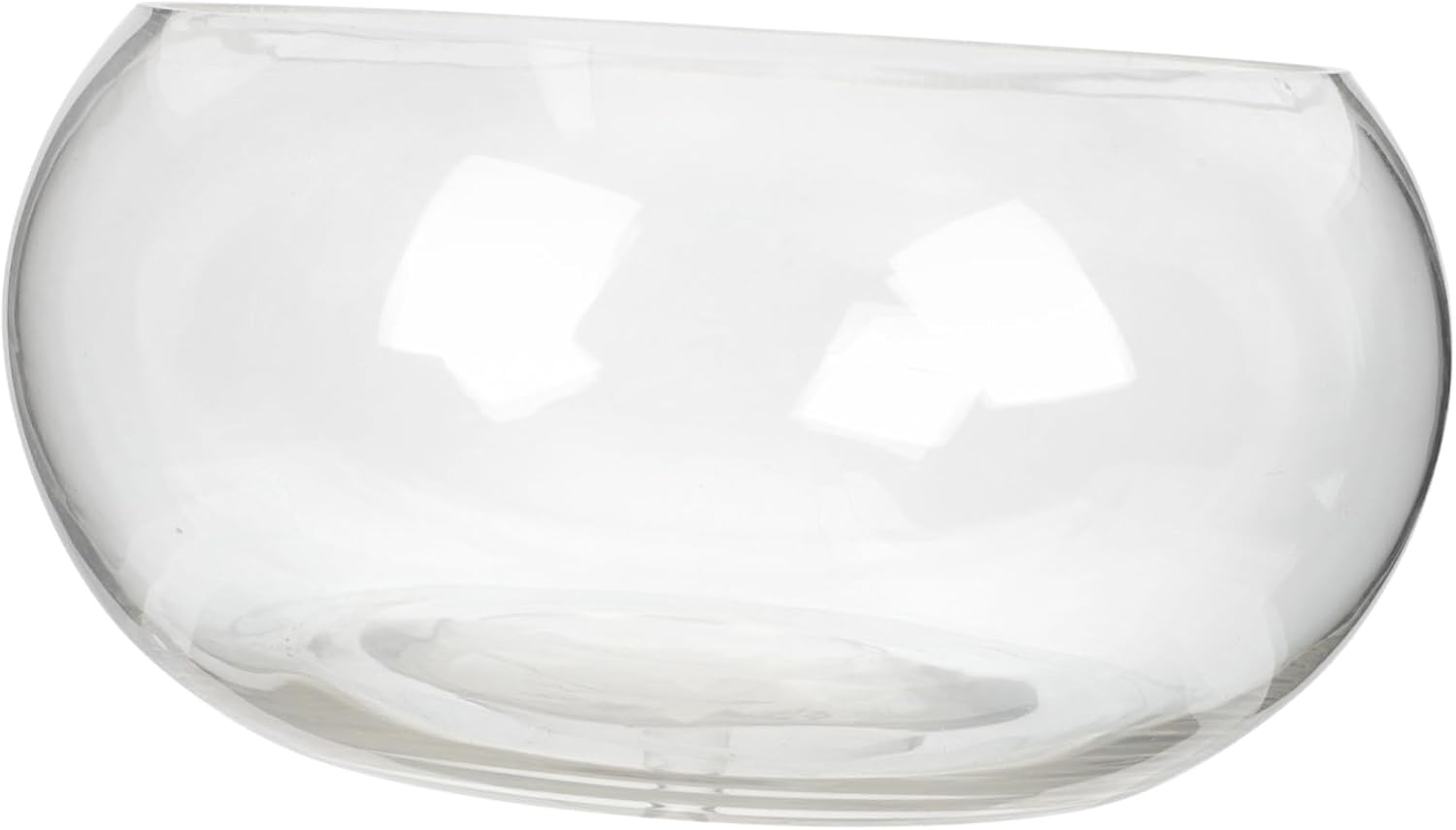 BESPORTBLE Glass Bowl Planter Round Hydroponic Fish Tank for Home Office Decor Glass Vase for Fish and Plants and Design