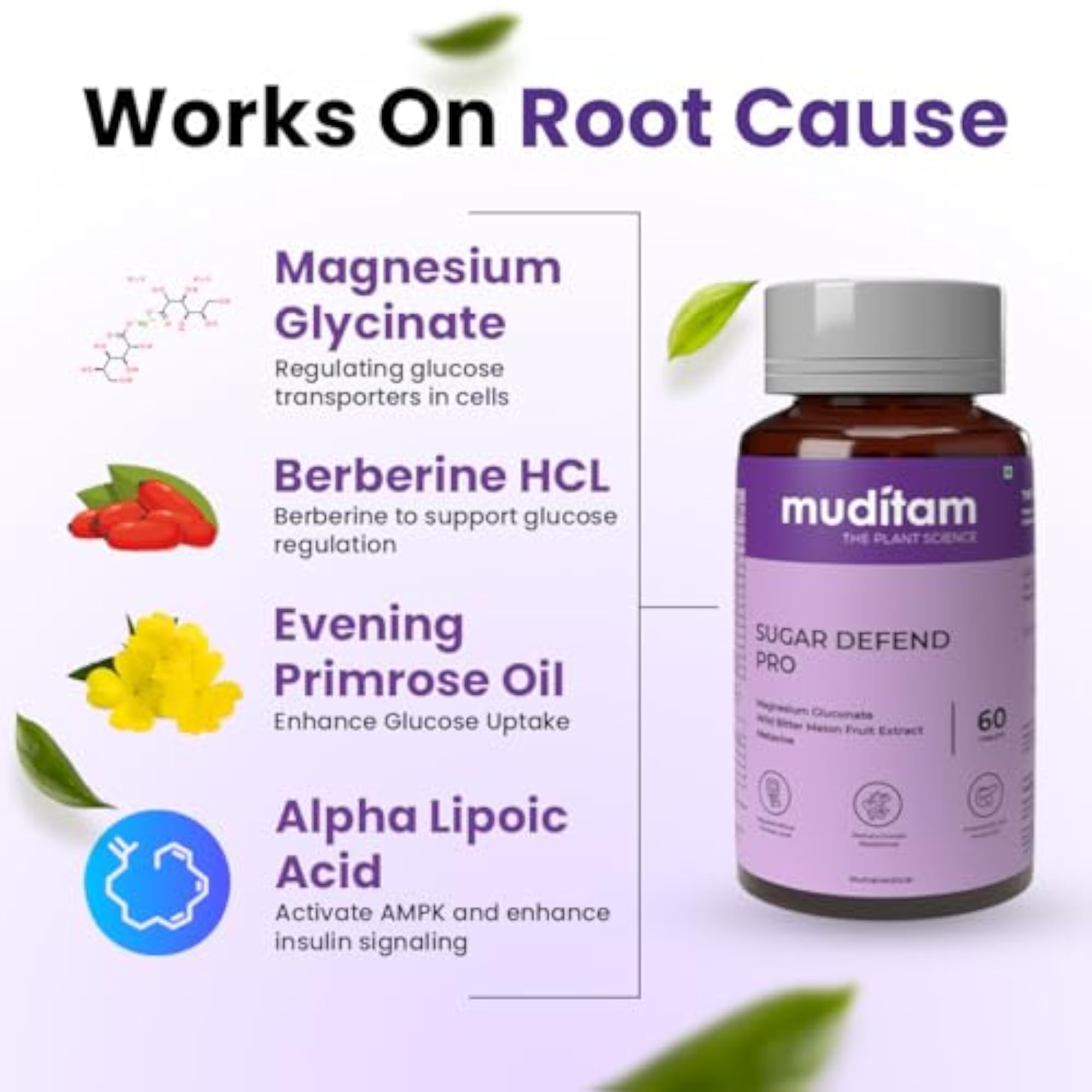 Muditam Ayurveda Sugar Management Kit