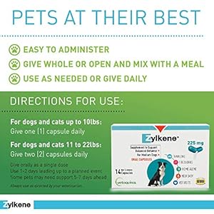 Vetoquinol Zylkene Behavior Support Capsules for Medium Dogs 33-65lbs, Calming All Natural Milk Protein Supplement, Helps Relieve Dog Anxiety During Fireworks and Thunder, 225mg