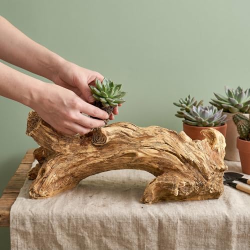 Image of Hiceeden Artificial Driftwood Succulent Planter, Resin Tree Stump Sculpture Rustic Cactus Flower Pot for Herb, Strawberry, Small Plants, Natural Color Drainage Hole, 14.6 inch L x 4.3 inch W x 5.1 inch H