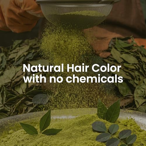 Image of Shudh Online Indigo and Henna Powder Organic for Hair Colour (100 Grams each - 200 grams), Avuri and Mehandi, Neela Amari, Natural Mehndi, Cassia Obovata, Neel Patti, Neelayamari, Neli Aku