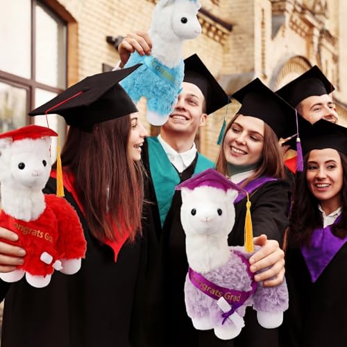 Chalyna 10 inch Graduation Llama Plush Stuffed Animal Class of 2026 Cute Congrats Grad Llama with Cap Diploma and Sash Soft End of Year Graduation Gift Party Decor for Kids Girls Boys(Purple) by Chalyna - Used condition - Image 7