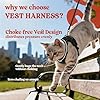 rabbitgoo Cat Harness and Leash for Walking, Escape Proof Soft Adjustable Vest Harnesses for Cats, Easy Control Breathable Reflective Strips Jacket, Black, XS #2