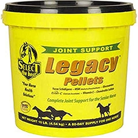 RICHDEL Legacy Pellets 075332 Cover