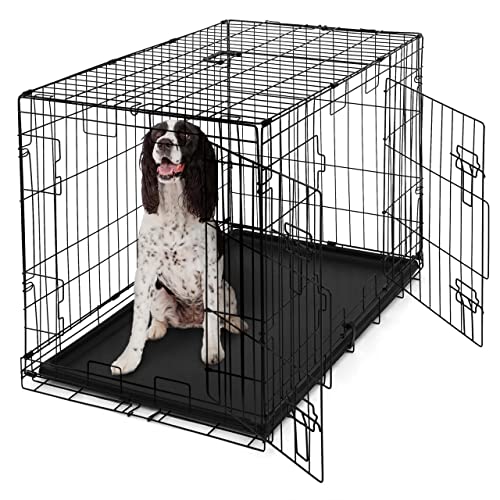 10 Best Wire Dog Crates to Keep Your Pup Safe and Secure A GRReat